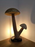 Fungi Twin
