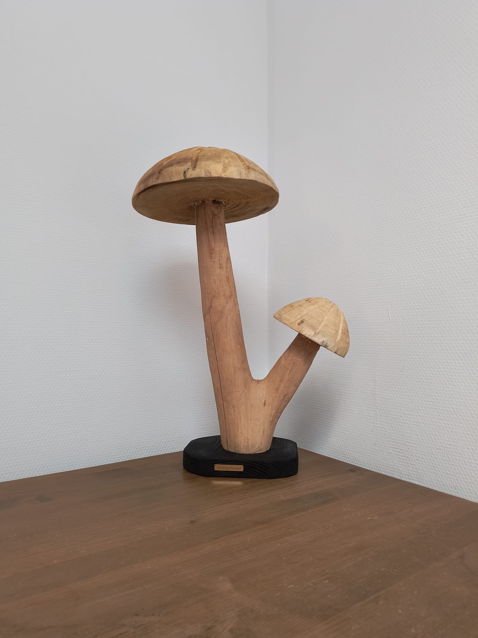 Fungi Twin