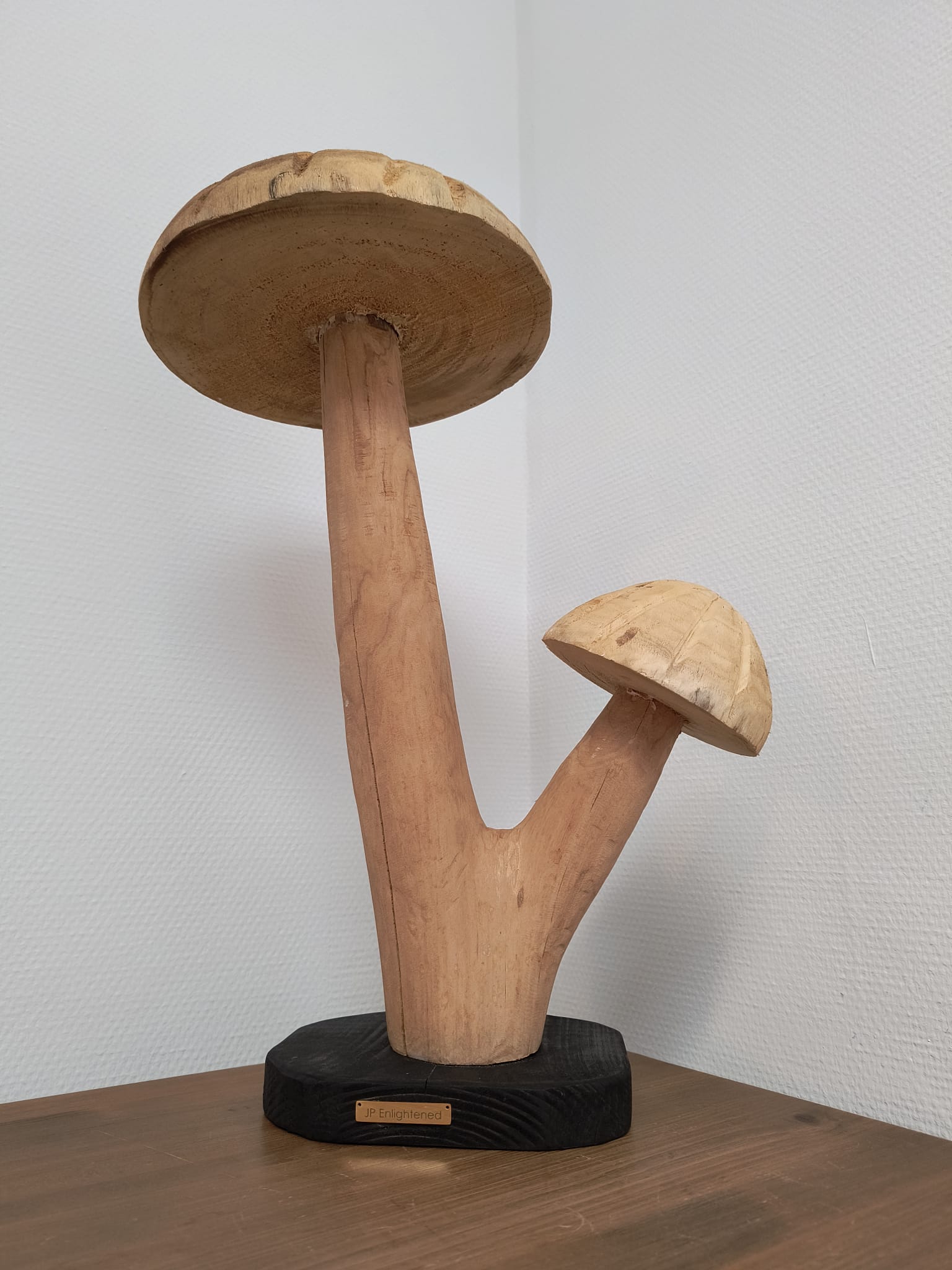 Fungi Twin