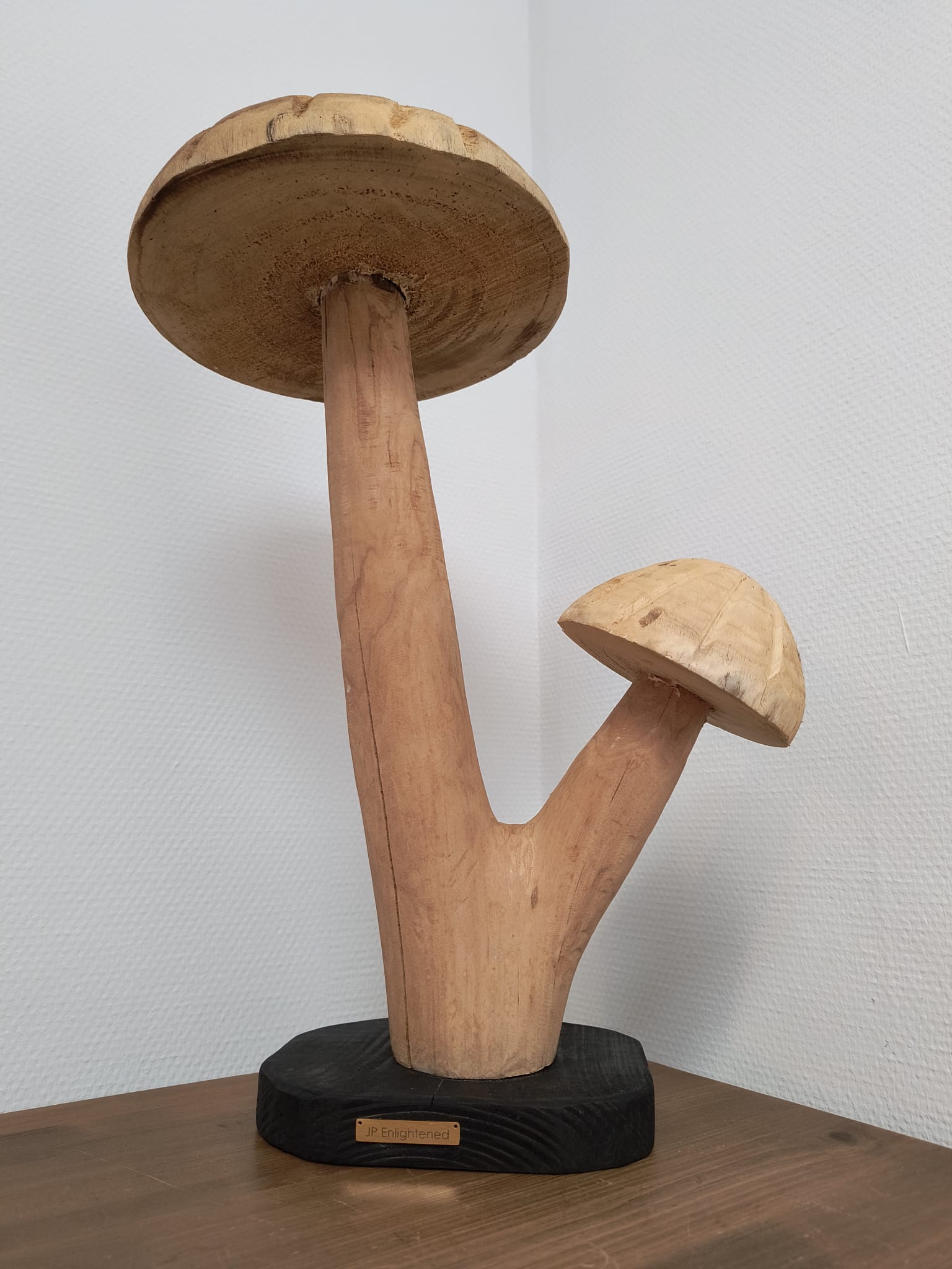 Fungi Twin