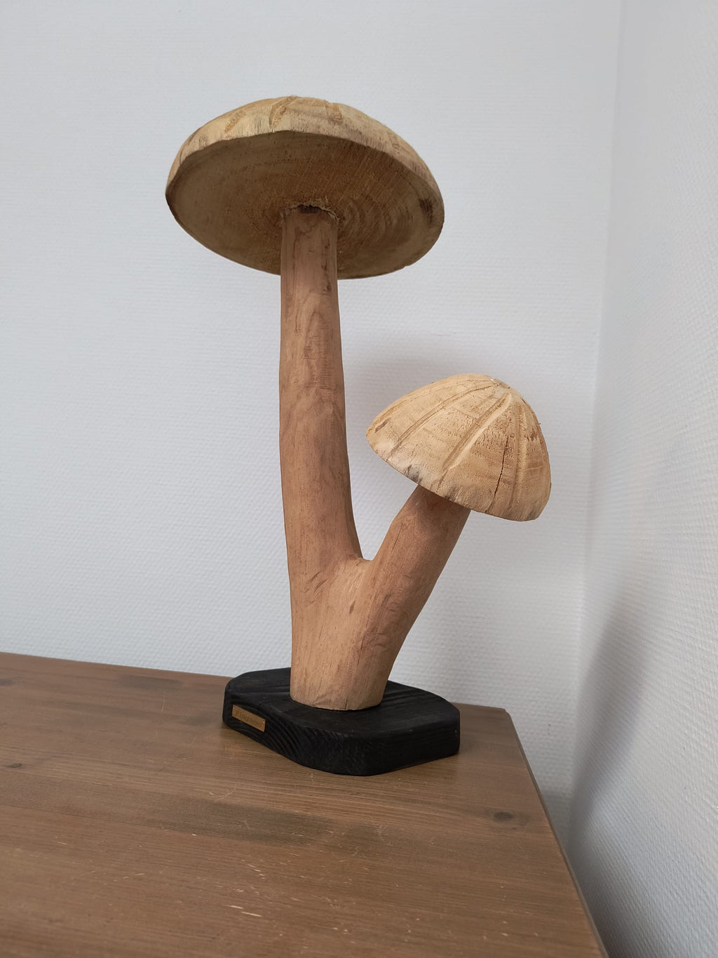 Fungi Twin