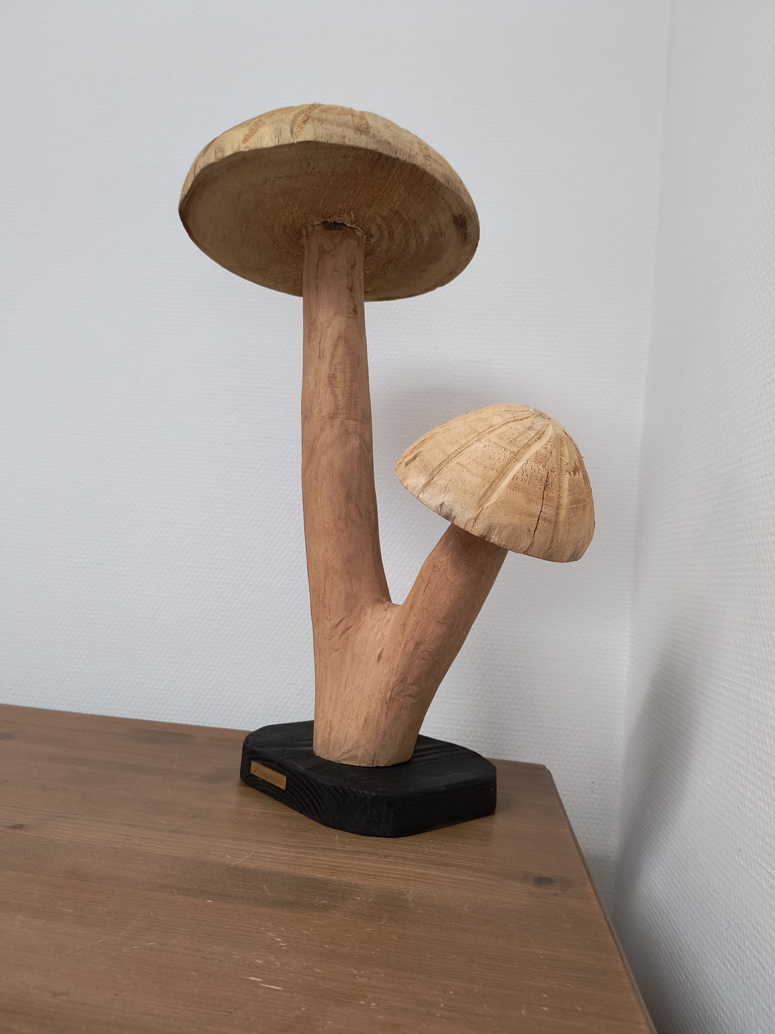 Fungi Twin