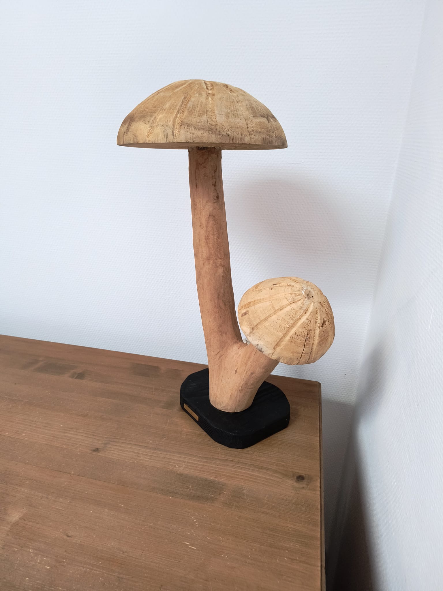 Fungi Twin