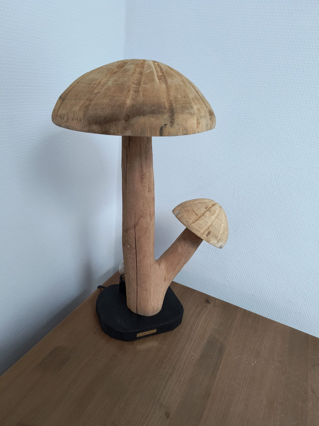 Fungi Twin