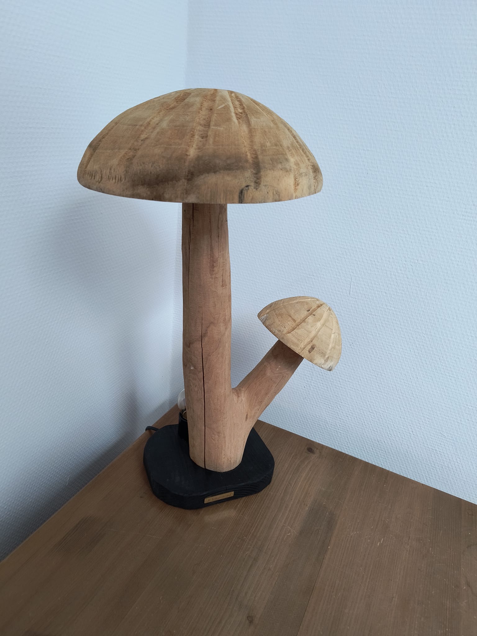 Fungi Twin