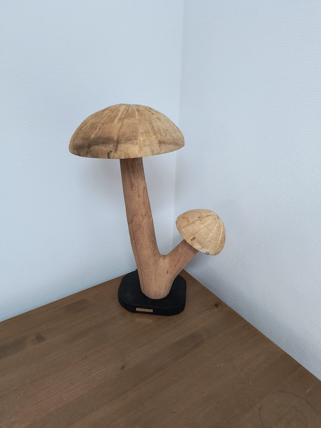 Fungi Twin